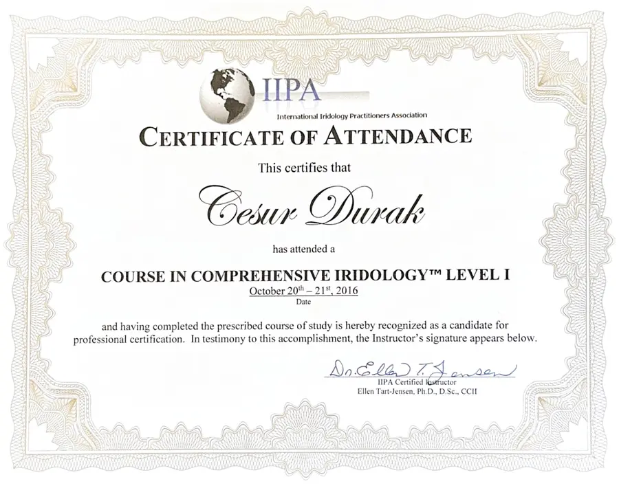 Certificat Course in Comprehensive Iridology
